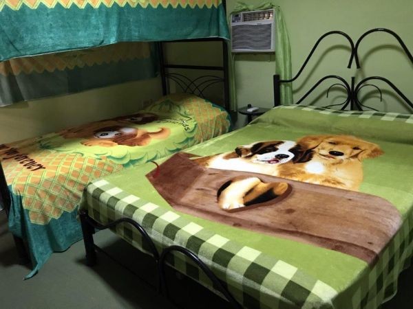 Burton House Appartement 1