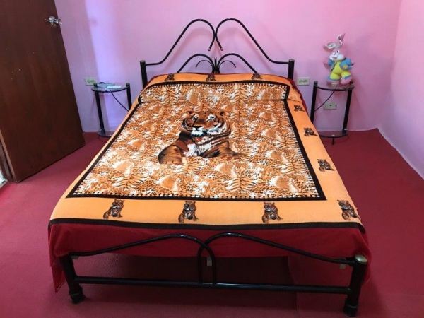 Burton House Appartement 3