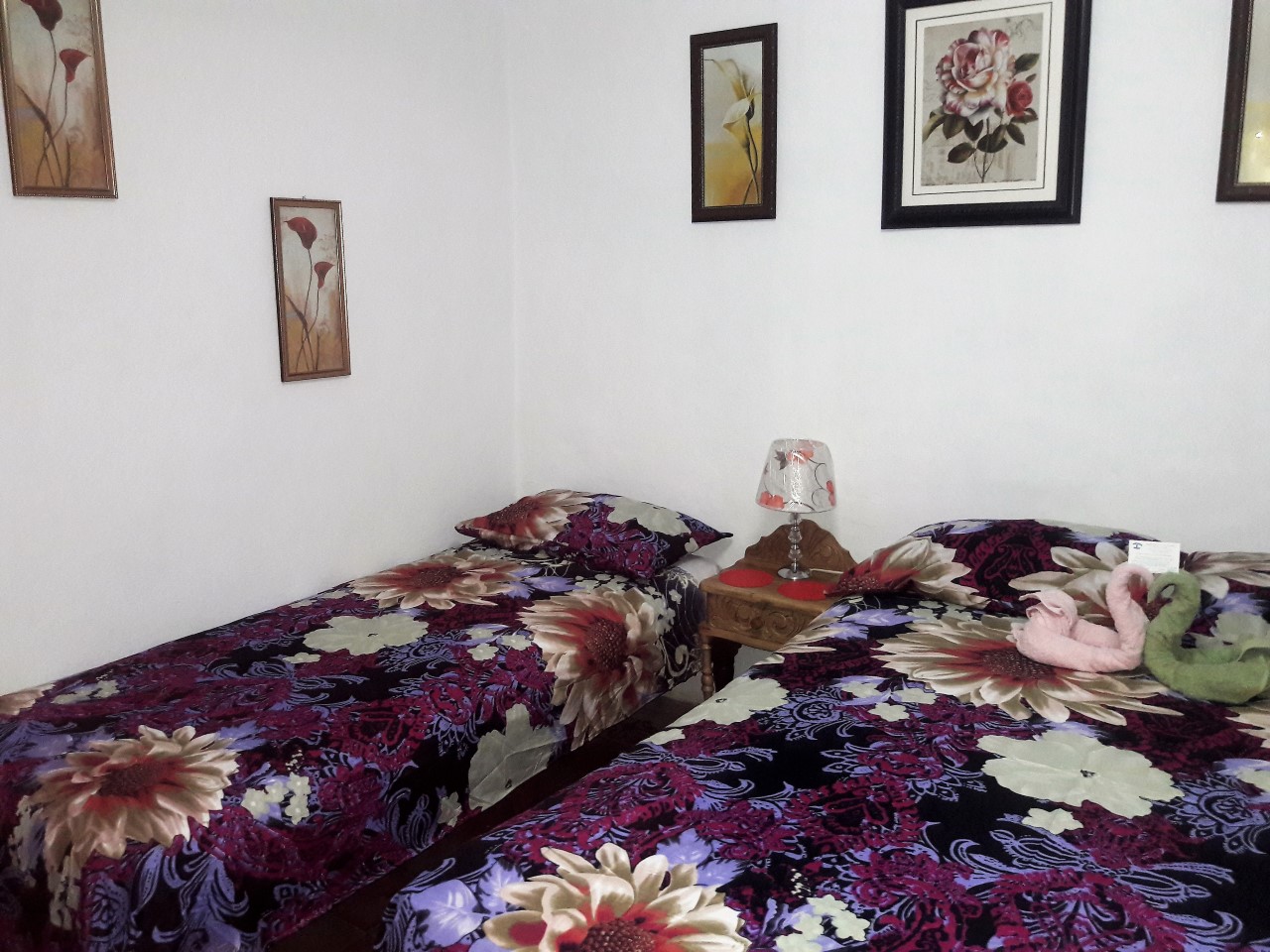 casa de omaris y cesar Appartement 1